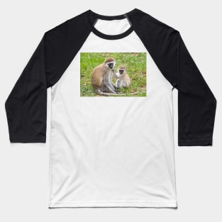 Vervet Monkeys, Lake Manyara National Park, Tanzania Baseball T-Shirt